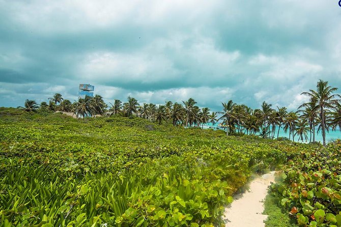 Island Contoy Adventour & Buffete & Isla Mujeres only from Cancun - The Sum Up: Is It Worth It?