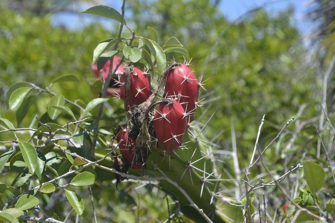 Coloradas Bioexperiences - FAQ