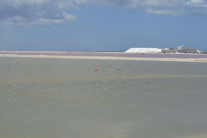 Coloradas Bioexperiences - Analyzing the Experience