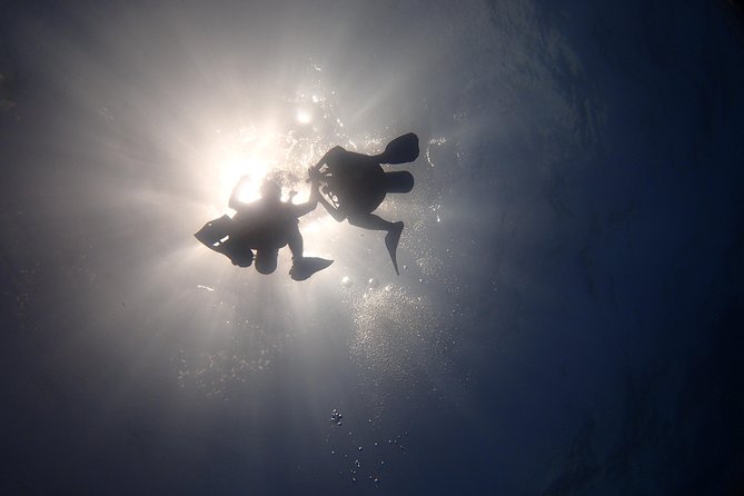 Diving in the Mexican Caribbean for Beginners | 2 Tanks 2 Dives | All Inclusive - The Sum Up: Who Should Book?