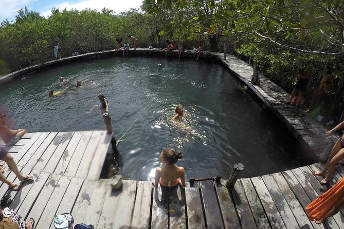 Discover the Wonders of Holbox, Cenote and Passion Island. Transport included - Final Thoughts: Is It Worth It?