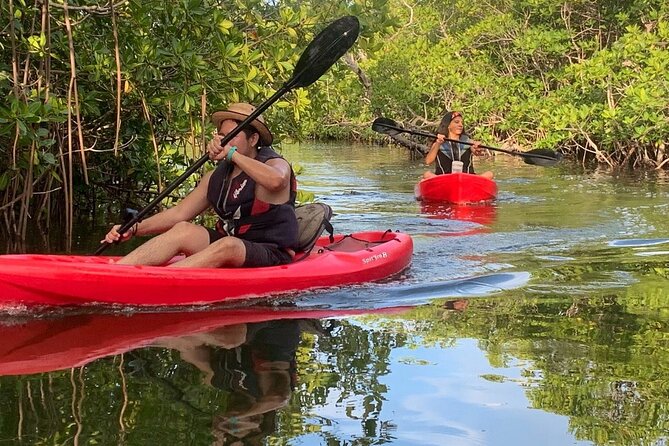 Cancun Lagoon Sunset Kayak Adventure - Practical Details for Planning Your Trip