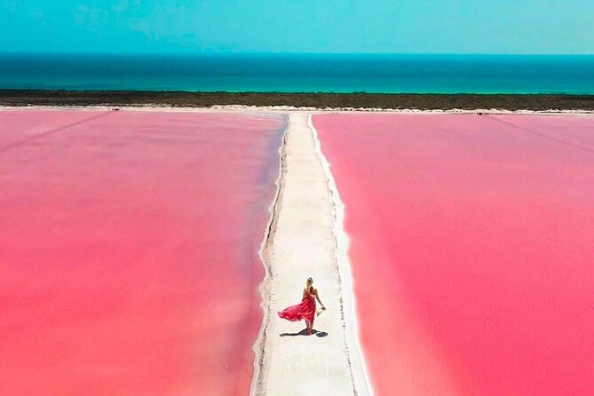 Rio Lagartos and Las Coloradas Day Tour from Cancun - Key Points