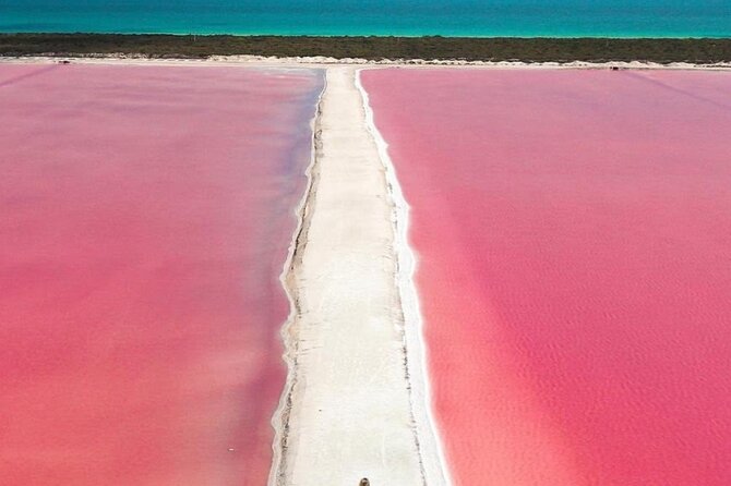 Rio Lagartos and Las Coloradas Day Tour from Cancun - The Sum Up