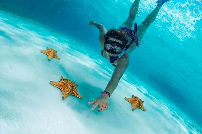 Explore El Cielo in Cozumel. Snorkel in 3 different reefs & visit Cielito Beach. - Key Points