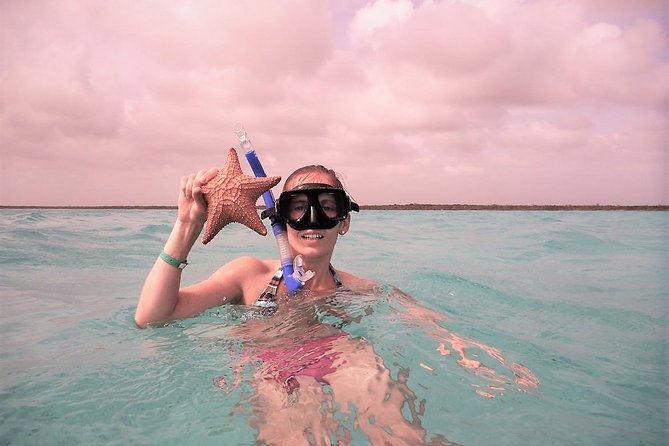 Explore El Cielo in Cozumel. Snorkel in 3 different reefs & visit Cielito Beach. - The Value of This Tour
