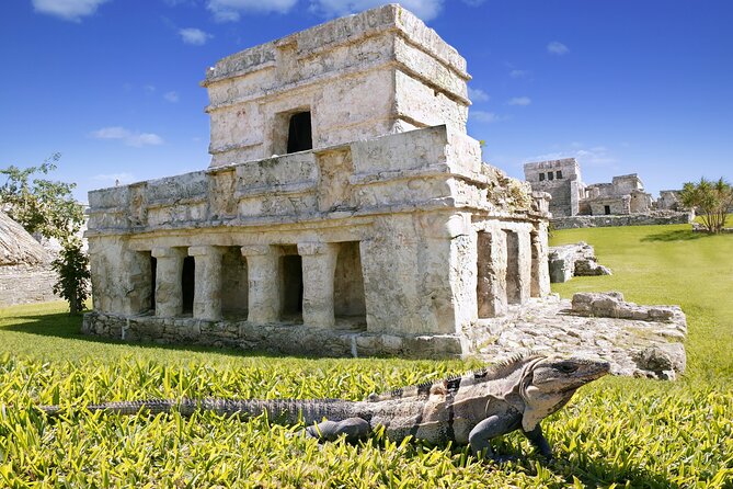 Ancient adventure, visit Tulum Ruins with ZIPLINES, a UNDERGROUND CENOTE &Buffet - Who Will Love This Tour?  