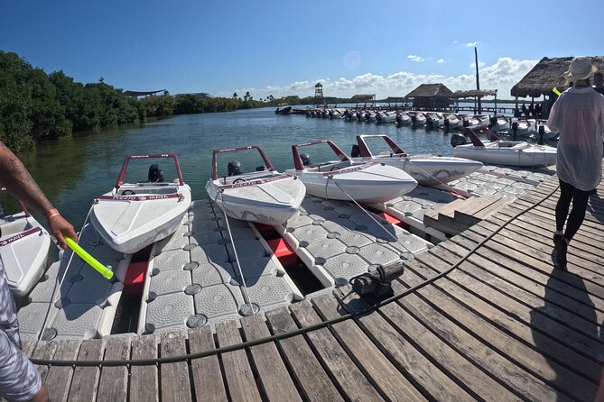 Speed of the Mayan Jungle - The Sum Up