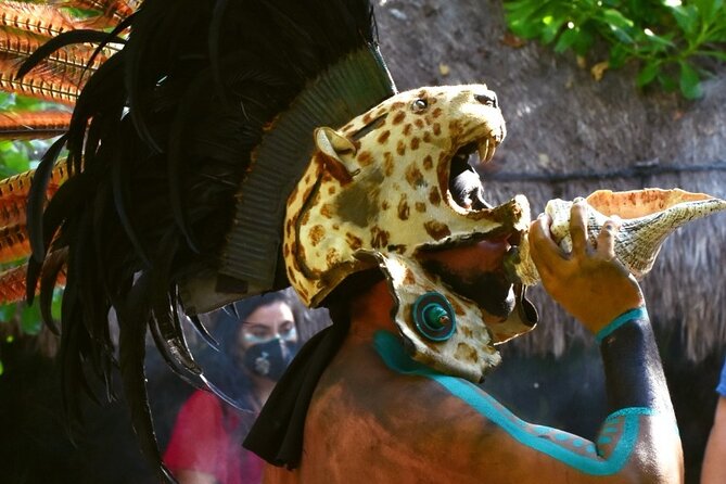 Speed of the Mayan Jungle - FAQ