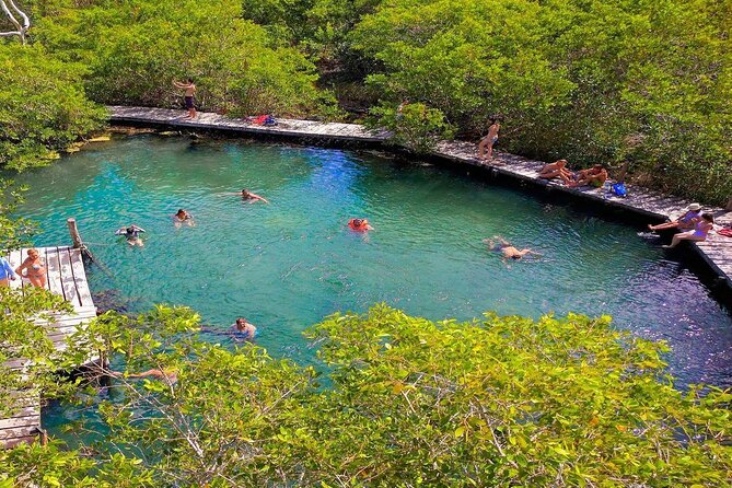 Tour Holbox Plus (Isla Pasion & Cenote) Departures from Cancun - Who is This Tour Best For?