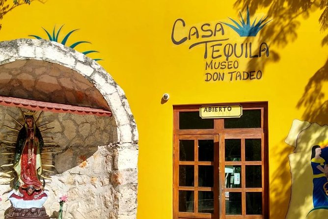 Tour Chichen Itza "Noches de Kukulkan" + Cenote & Hubiku from Cancún - Who This Tour Is Best For