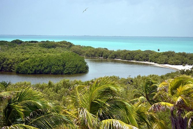 Excursion Isla Contoy & Isla Mujeres from Cancun - Final Thoughts