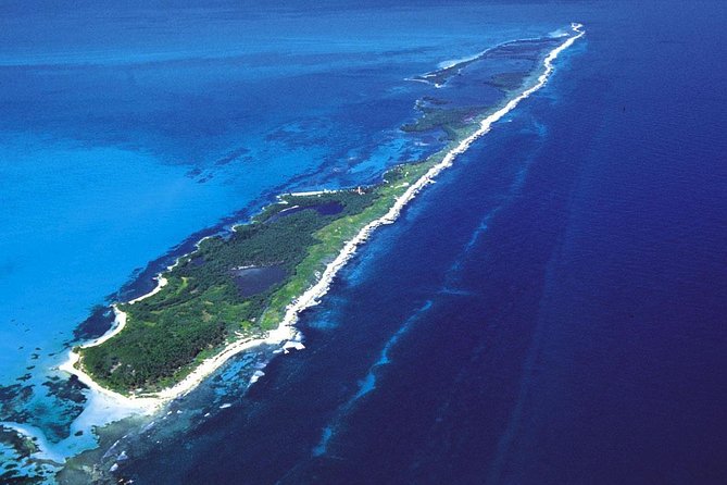 Isla Contoy & Shopping tour in Isla Mujeres from Cancun & Riviera Maya - Why This Tour Offers Great Value