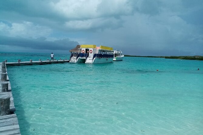 Full Day Tour to Isla Contoy and Isla Mujeres from Cancun - The Details of the Tour: What to Expect