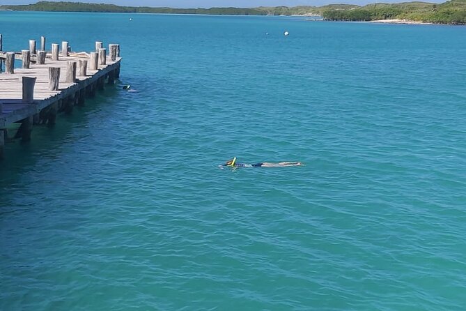 Full Day Tour to Isla Contoy and Isla Mujeres from Cancun - The Sum Up: Who Is This Tour Best For?