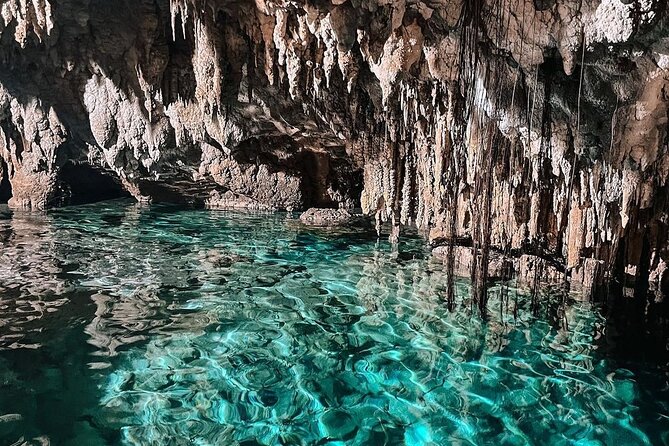 Zapote Cenotes Adventure Tour Prehistoric Park - An In-Depth Look at the Tour Itinerary