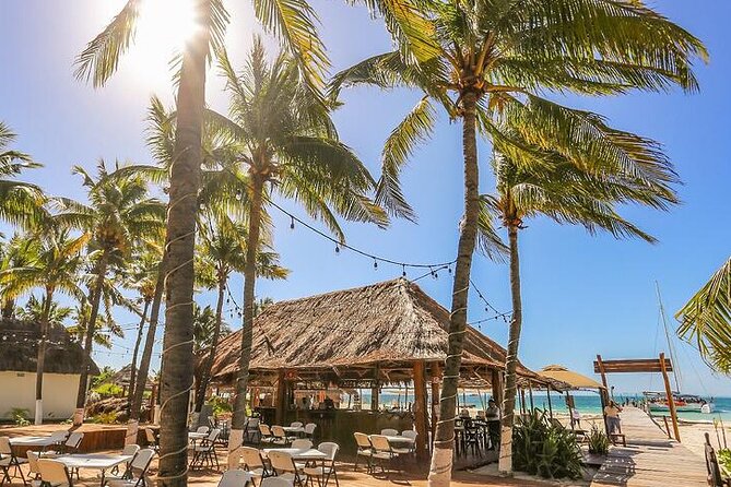 Isla Mujeres Cruise with Beach Club, Snorkel, Lunch and Open Bar - Who Should Consider This Tour?