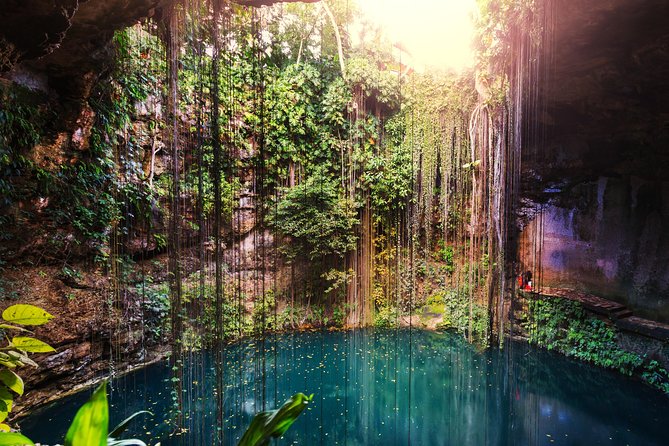 Chichen Itzá Tour in 1 Full Day, Cenote, Valladolid and Luch included! - Transportation and Comfort