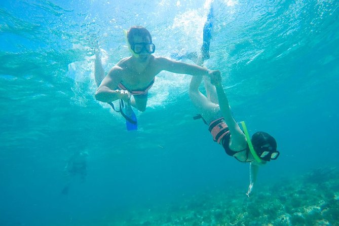 Afternoon Half-Day Catmaran Sailing and Snorkel Adventure - Who Should Consider This Tour?
