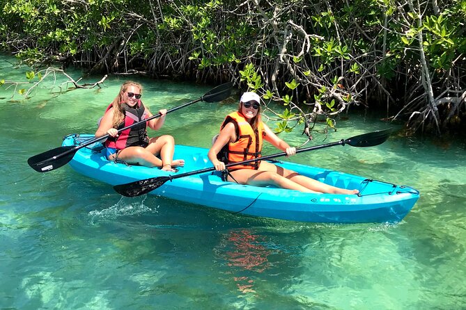 Paddleboard Kayak Tour in Cancun - Discovering the Nichupte Lagoon: What to Expect