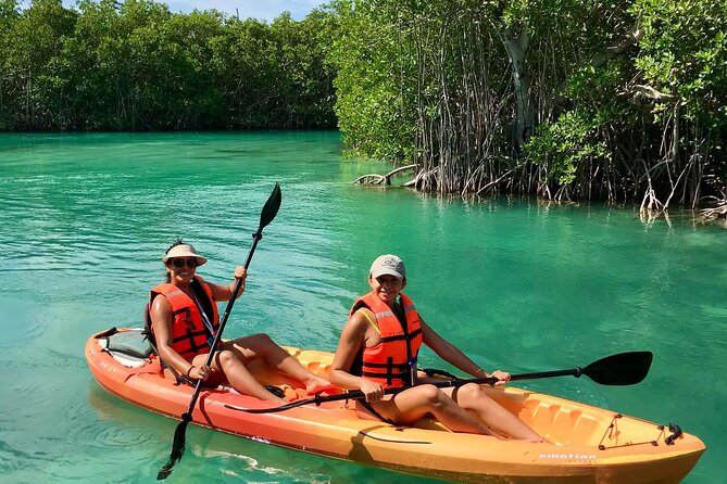 Paddleboard Kayak Tour in Cancun - Paddleboard Kayak Tour in Cancun: A Natural Adventure in the Heart of the Hotel Zone