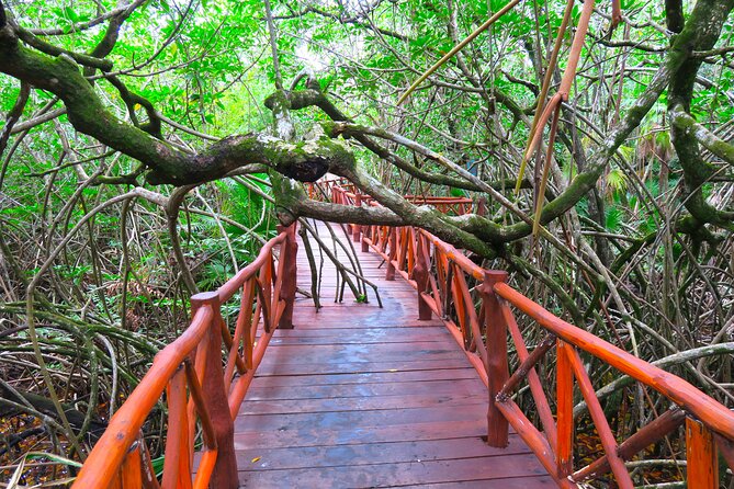 Full-Day Tour of Tulum Ruins and Cenotes with Lunch - The Experience in Practice