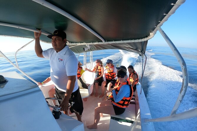 Cancun Whale Shark Experience with Snorkel & Transportation - Snorkeling & Beach Time