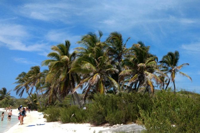 Isla Contoy and Isla Mujeres Tour with Snorkeling from Cancun - Isla Contoy: The Star of the Day