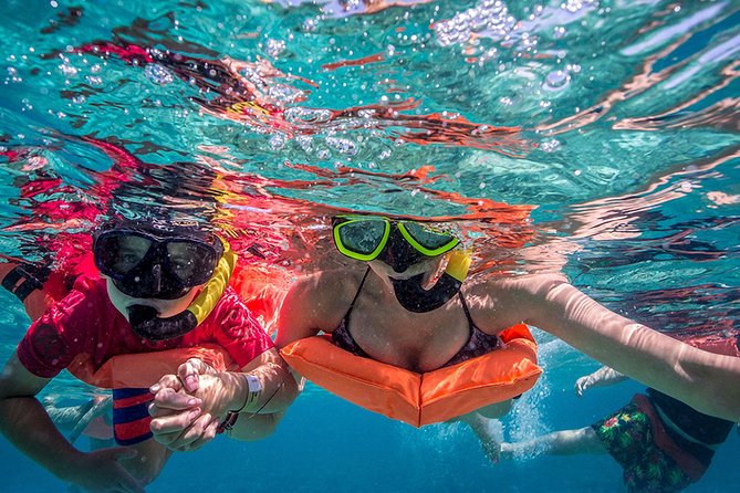 Isla Contoy and Isla Mujeres Tour with Snorkeling from Cancun - From Cancun to Isla Contoy: The Journey Begins