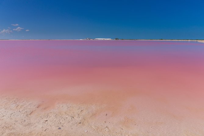 Private Chichen Itza, Cenote Ik Kil, Rio Lagartos & Las Coloradas - The Practicalities