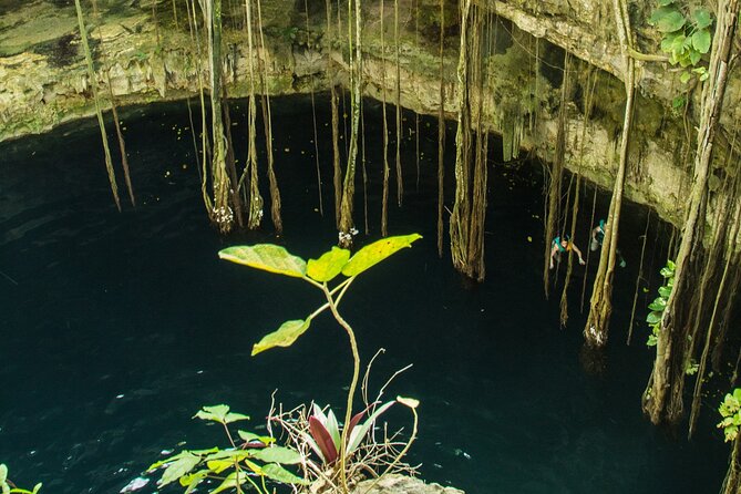Colonial Valladolid and Cenote Swimming Private Tour from Cancun - Who Will Enjoy This Tour?