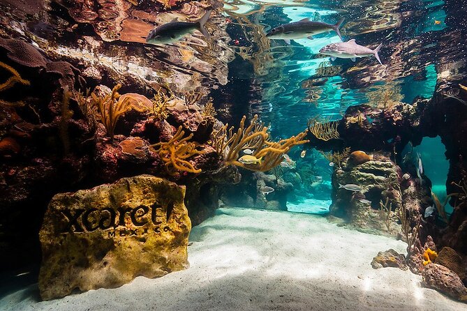 All-inclusive Xcaret Park with Transportation from Cancun & Playa Del Carmen - A Deep Dive Into Xcaret Park: What You Can Expect