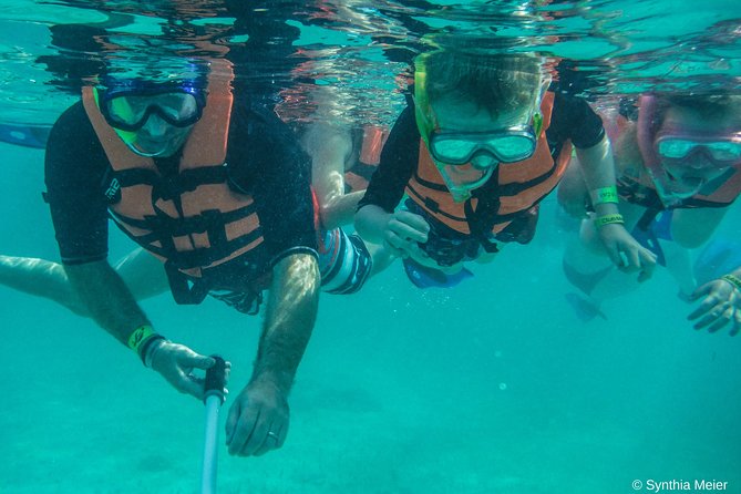 Marine Turtle Snorkeling Private Tour - An Authentic Day with Turtles, Reefs, and Cenotes in Cancun