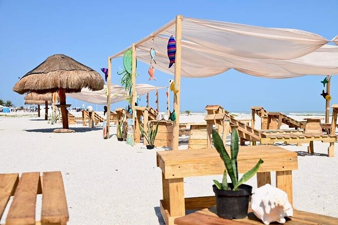 Full Day Tour of Holbox Island and Yalahau Cenote with Lunch - The Realities from Traveler Reviews