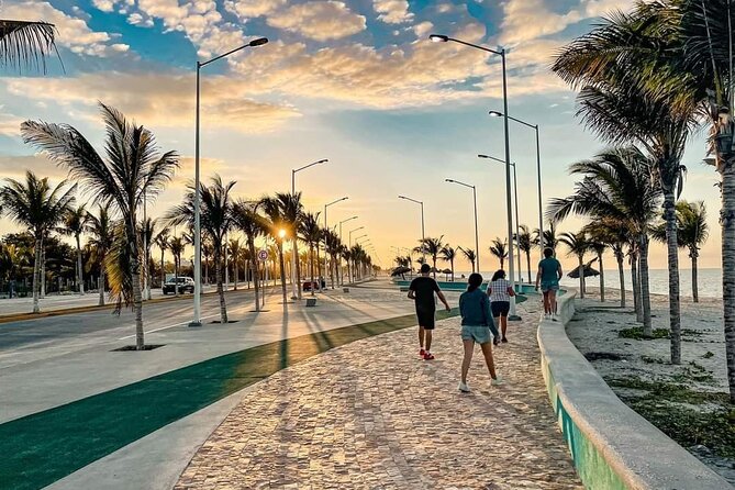 Full Day Tour of Holbox Island and Yalahau Cenote with Lunch - Final Thoughts