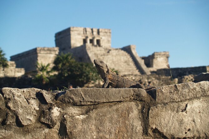 Tulum Highlights Early Easy and Crowd Free - Why This Tour Offers Good Value