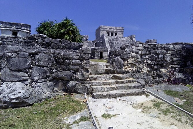 Tulum, Coba, Cenote & Playa del Carmen Tour - Practical Details and Considerations