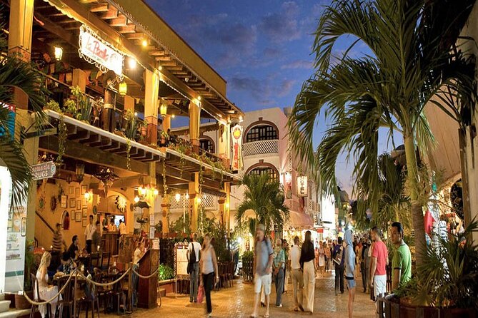 Tulum, Coba, Cenote & Playa del Carmen Tour - Who Should Consider This Tour?