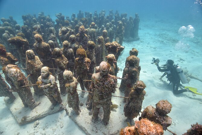 Scuba Dive at Musa Cancun for Certified Divers - Who Would Love This Tour?
