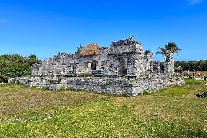 Mother Nature, Tulum, Casa Tortuga Cenote and 5th av - Who Will Love This Tour?