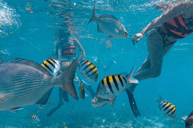 Luxury Catamaran to Isla Mujeres, Snorkeling, Buffet and Ice Bar - Practical Aspects to Consider