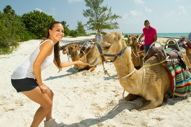 Camel Expedition and Beach Club In Riviera Maya - FAQs