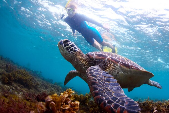 Tulum Ruins and Turtles Express - Final Thoughts