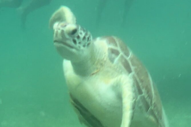 Private VW Beetle Tour Swim with Turtles, Visit Tulum Ruins&Town - Exploring the Itinerary in Detail