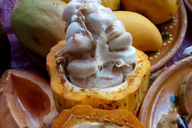 Steps Full of Flavor, Cancun Foodie & Market Tour - A Deep Dive Into the Experience