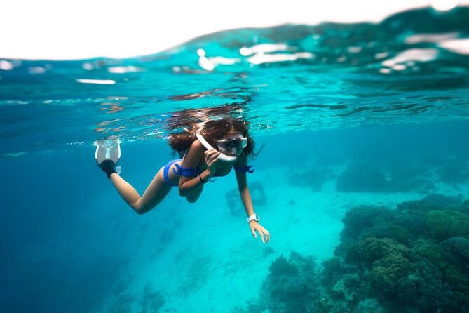Speedboat Adventure and Snorkeling with transportation in Cancun - The Sum Up: Is It Worth It?