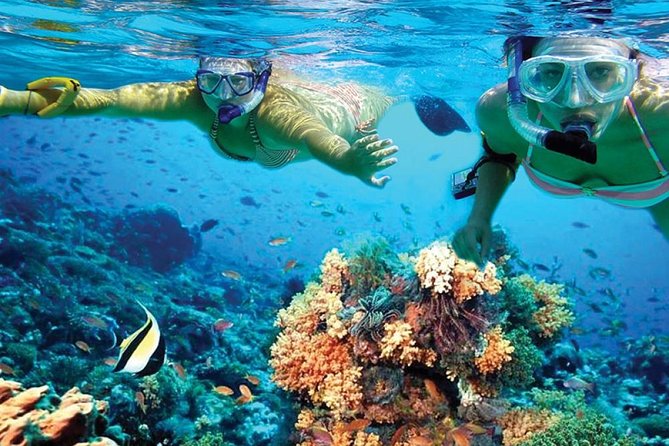 Chichen Itza Early Access & Catamaran to Isla Mujeres - Authentic Experiences and Honest Feedback