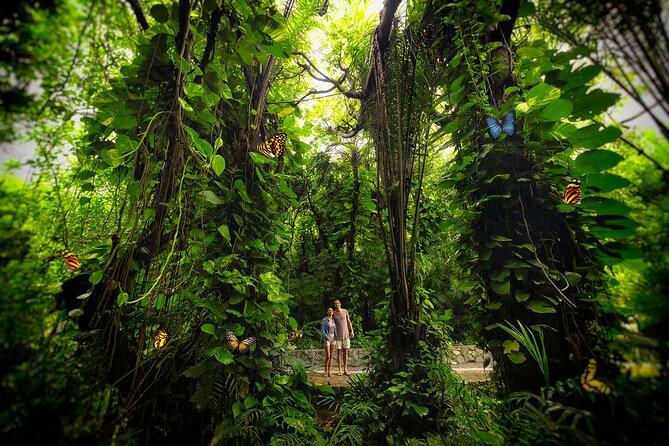 Xcaret Park Day Trip, transportation and Cultural Night Show - FAQ