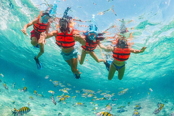 Xcaret Park Day Trip, transportation and Cultural Night Show - Final Thoughts: Is It Worth It?