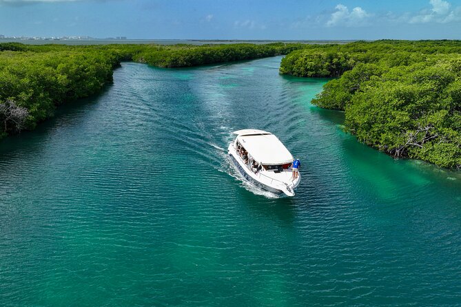 Island Adventure - Authentic Insights From Travelers